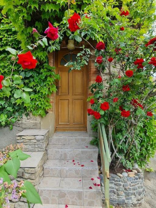 Maison Ideale Pour Une Famille قرقشونه المظهر الخارجي الصورة